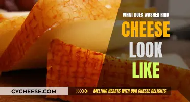 The Beauty of Washed Rind Cheeses: A Visual Guide