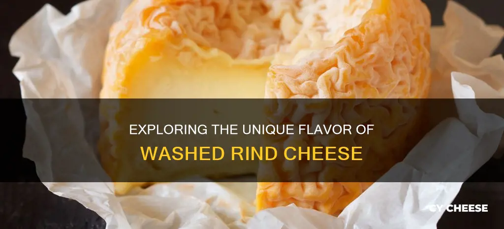 what does washed rind cheese taste like