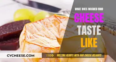 Unveiling the Taste Profile of Washed Rind Cheeses