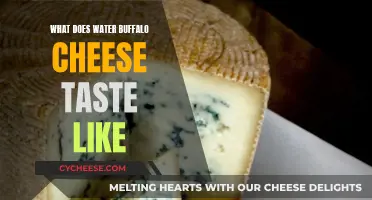 Water Buffalo Cheese: A Unique Taste Experience