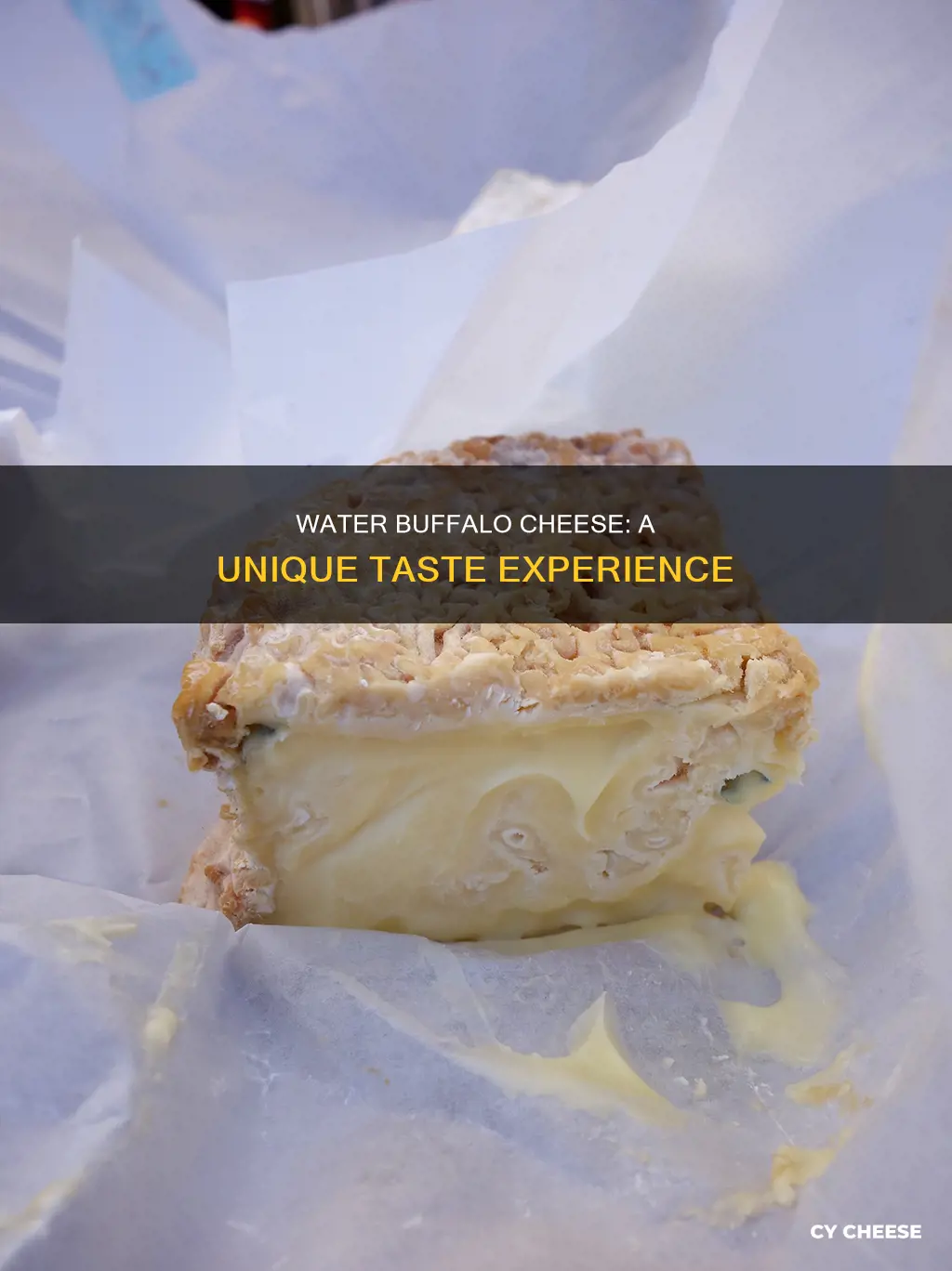 what does water buffalo cheese taste like