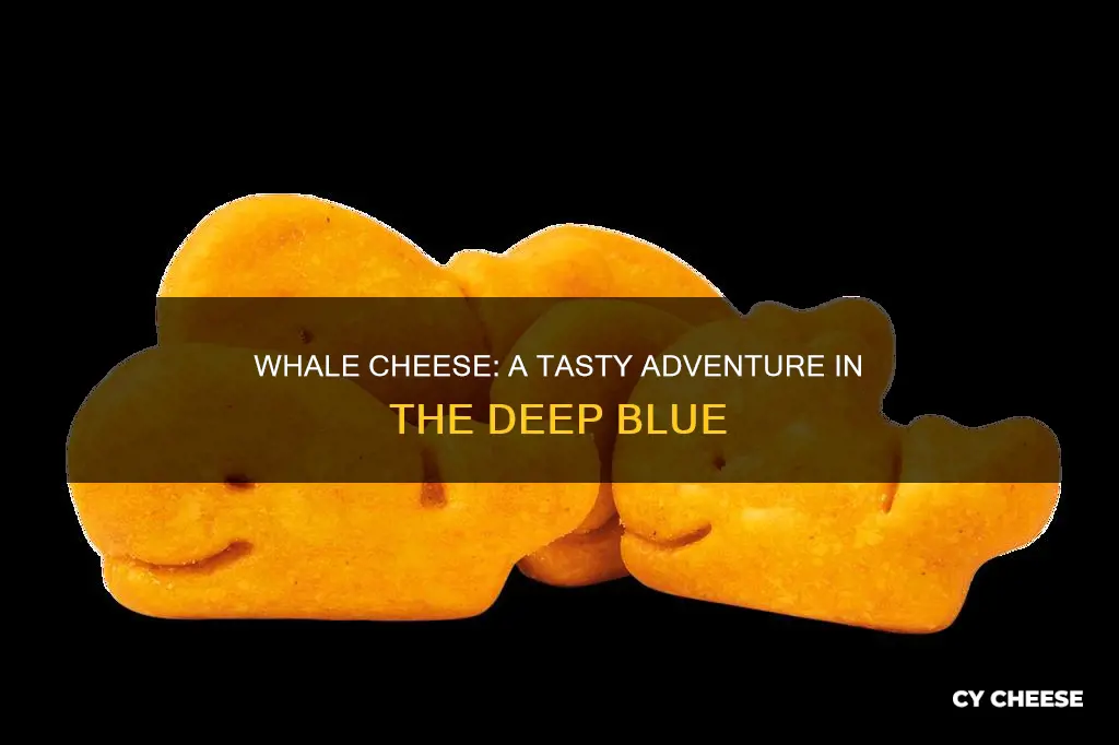 what does whale cheese taste like