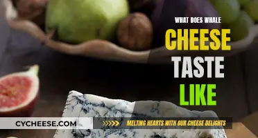 Whale Cheese: A Unique Taste Experience