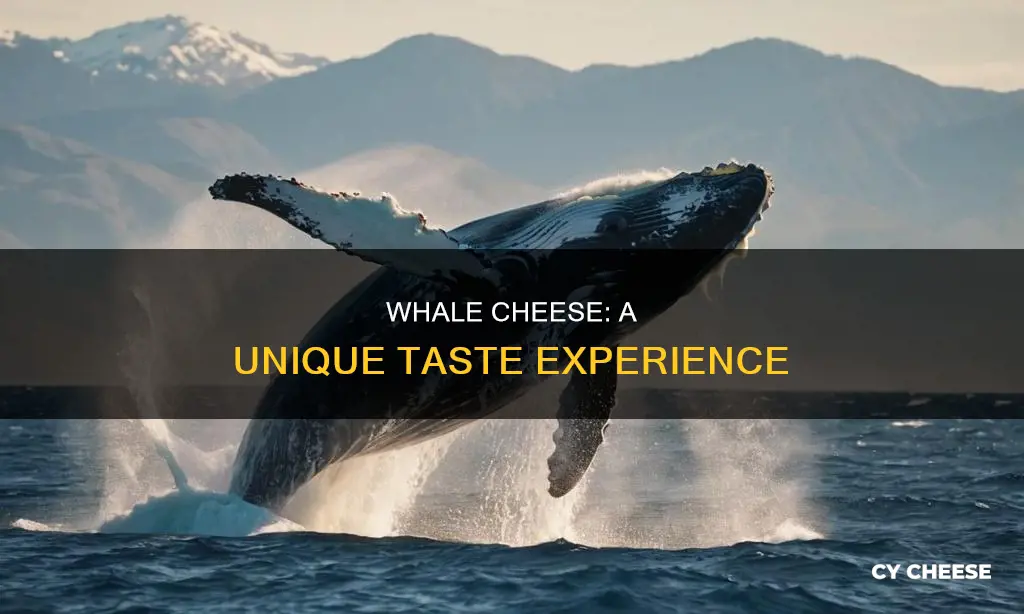 what does whale cheese taste like