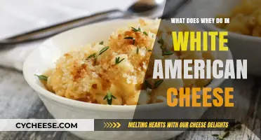 Whey's Role in White American Cheese: Texture, Flavor, and Meltability