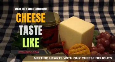 Tasty, Creamy, and Cheesy: Exploring White American Cheese