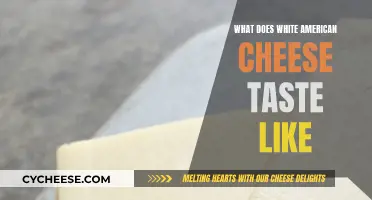 The Taste of White American Cheese: A Review