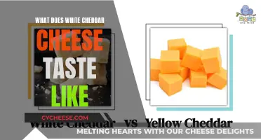 A Creamy, Tangy Delight: Exploring the Taste of White Cheddar