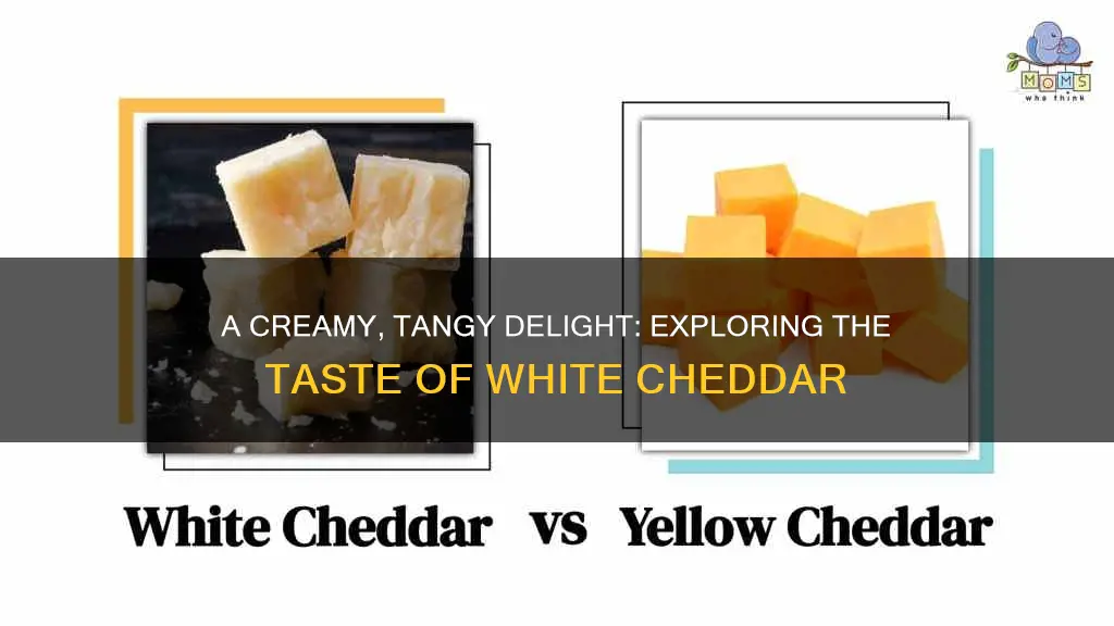 what does white cheddar cheese taste like