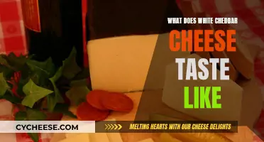 White Cheddar Cheese: A Taste of Sharp, Rich, and Creamy