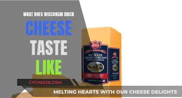 A Tasty Adventure: Exploring Wisconsin Brick Cheese's Unique Flavor