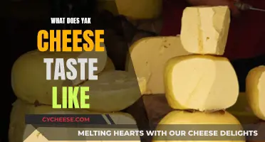 Yak Cheese: A Unique Taste Experience