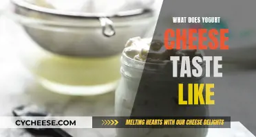 Yogurt Cheese: A Tangy, Creamy Delight