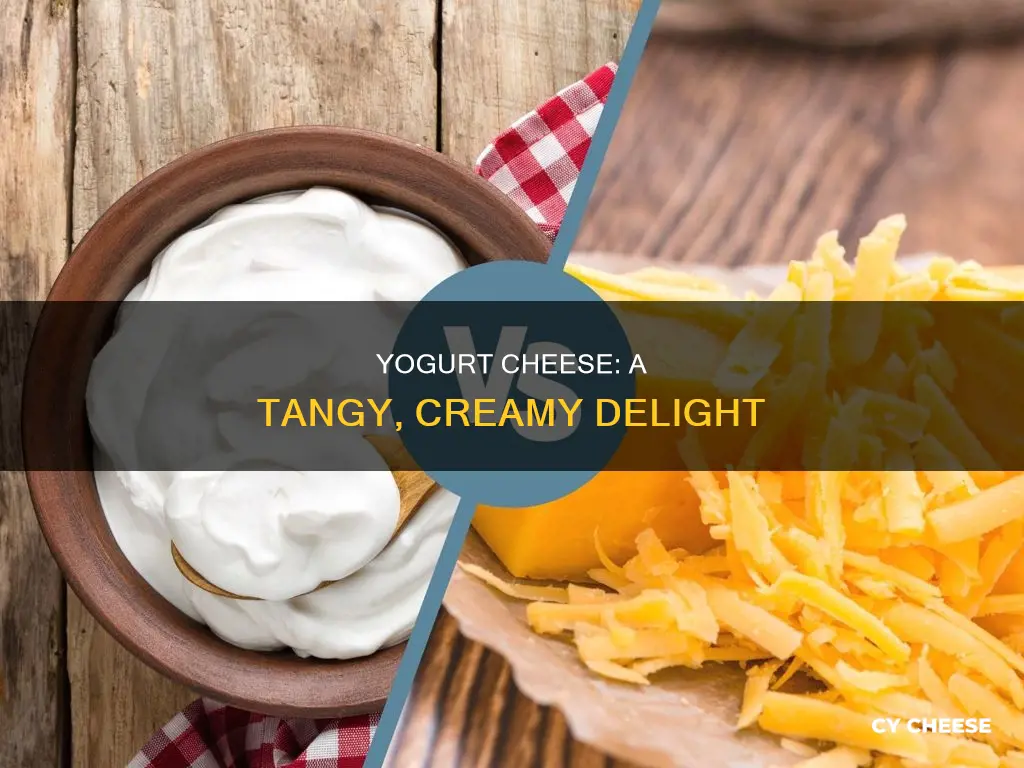 what does yogurt cheese taste like