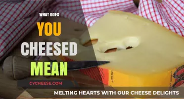 What Does 'You Cheesed' Mean? Decoding the Viral Slang Term