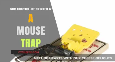 Why Do We Use Cheese in Mouse Traps? Unraveling the Myth
