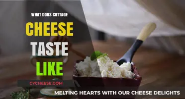Exploring the Unique Flavor Profile of Cottage Cheese: A Tasting Guide