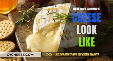 Camembert Cheese: A Visual Guide to Its Appearance