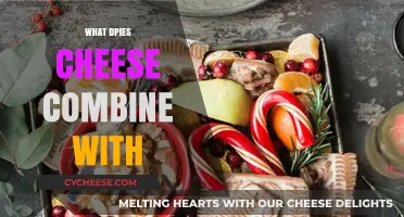 Cheese Pairings: Discover Perfect Combinations for Every Cheese Lover