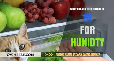 Cheese Storage Secrets: Optimal Drawer Choice to Combat Humidity