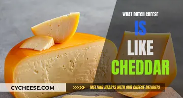 Dutch Cheddar: A Cheesy Comparison to the Classic Cheddar