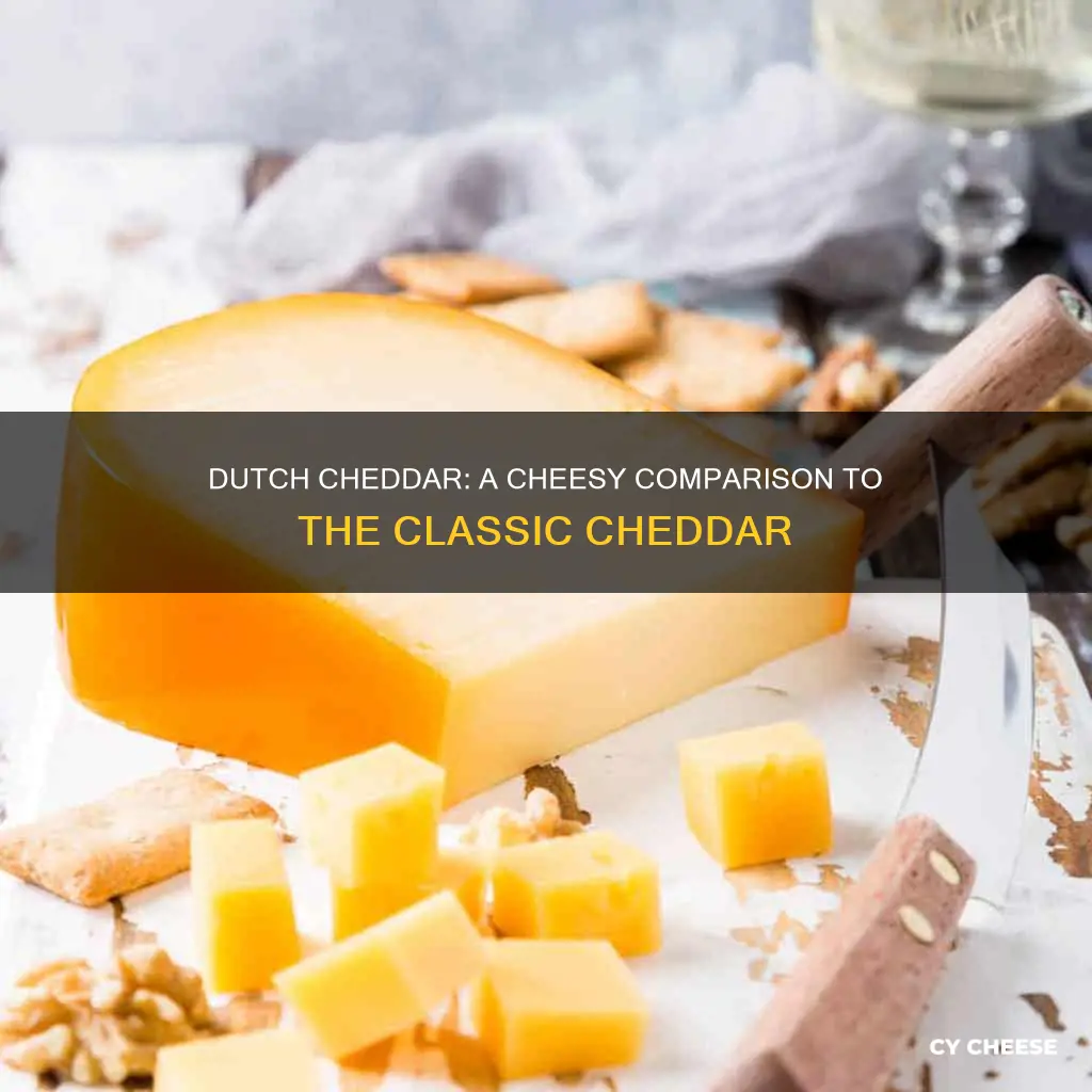 what dutch cheese is like cheddar