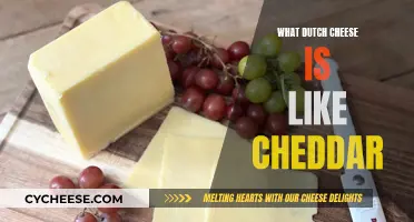 Dutch Cheeses Similar to Cheddar: A Comparison Guide