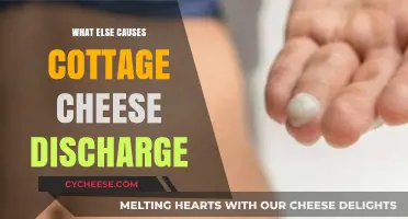 Unraveling Cottage Cheese Discharge: Surprising Causes Beyond the Usual Suspects