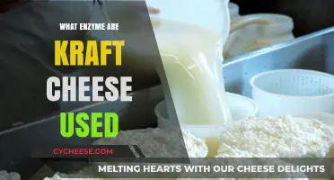 Kraft Cheese: Enzymes and Their Functions