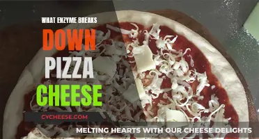 Enzyme Warriors: Breaking Down Pizza Cheese