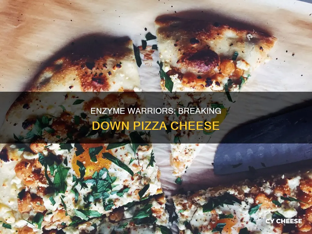 what enzyme breaks down pizza cheese