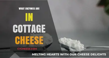 Unveiling the Enzyme Secrets: What's Inside Cottage Cheese?