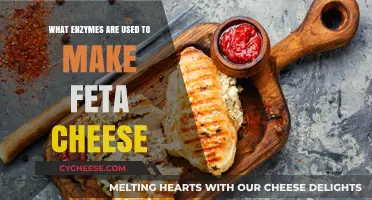Enzymatic Magic: Creating Feta Cheese Perfection