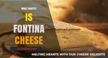 Discovering Fontina Cheese: Origins, Flavor, and Culinary Uses Explained