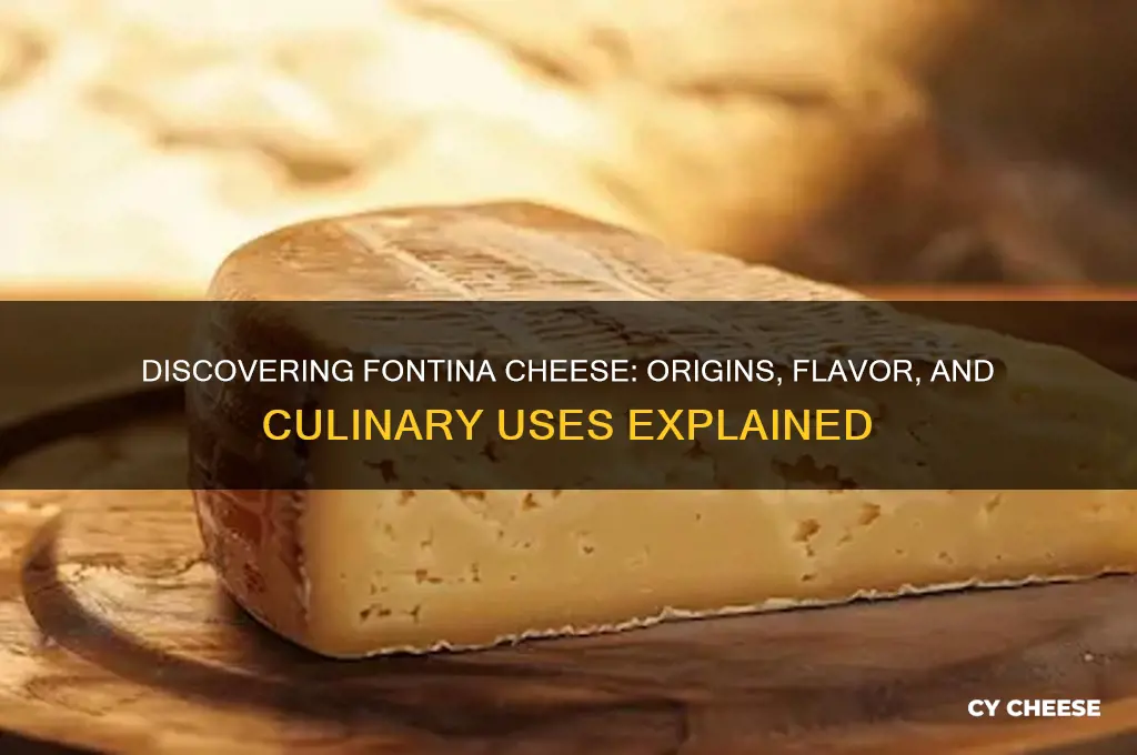 what exactly is fontina cheese