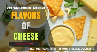 Exploring the Key Factors Shaping Cheese Flavors and Varieties