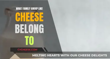 Cheese Lovers: Uncovering the Genetic Family Tree