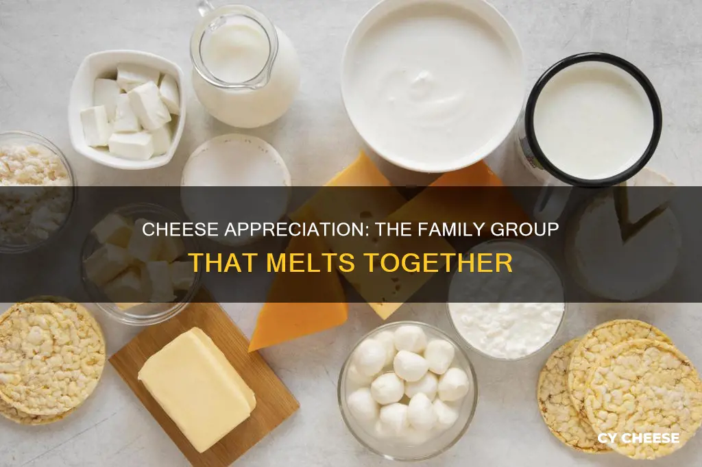 what family group like cheese belong to