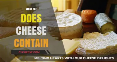 Understanding Cheese Fat: Types, Health Impact, and Nutritional Value