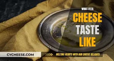The Unique, Tangy, and Salty Taste of Feta Cheese