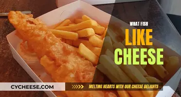 Cheese-loving Fish: An Odd Appetite