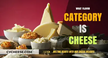 Exploring Cheese: Unraveling Its Unique Flavor Category and Culinary Role