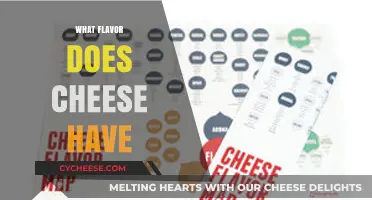 Exploring the Rich, Savory, and Complex Flavors of Cheese Varieties