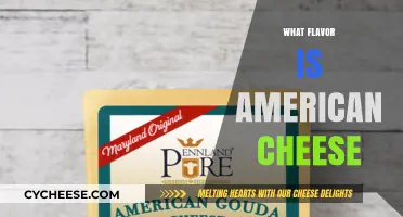 Unraveling the Mystery: What Flavor is American Cheese?