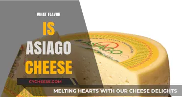Exploring Asiago Cheese: Its Unique Flavor Profile and Culinary Uses