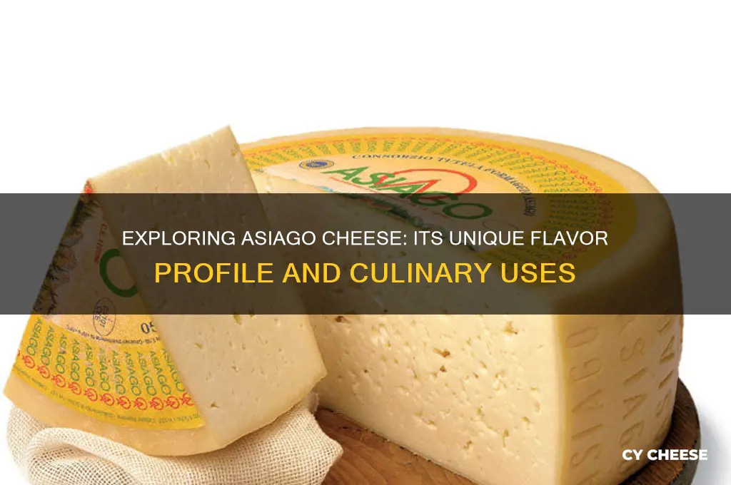 what flavor is asiago cheese