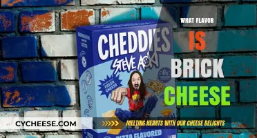 Unveiling the Unique Taste of Brick Cheese: A Flavor Profile