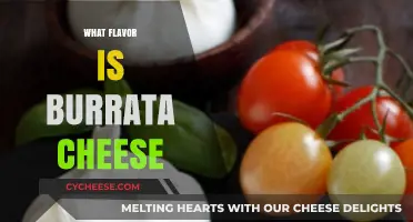 Discover the Creamy, Mild, and Buttery Flavor of Burrata Cheese