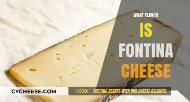 Discovering Fontina Cheese: Unveiling Its Unique Flavor Profile and Uses