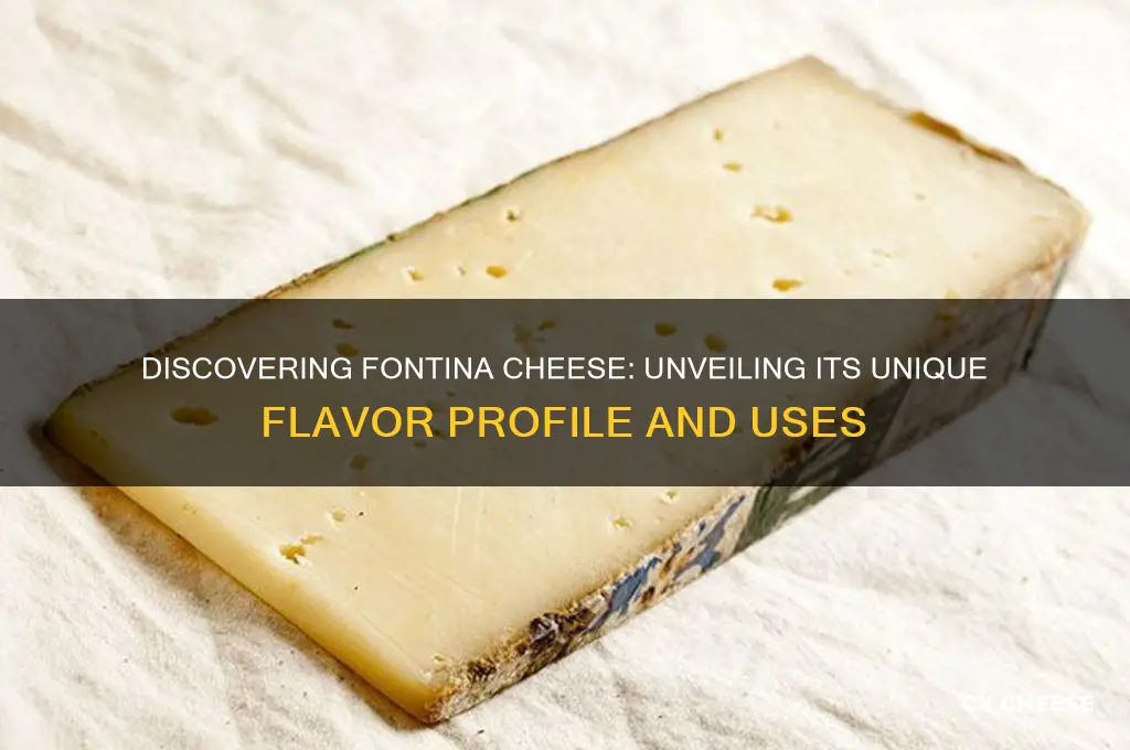 what flavor is fontina cheese